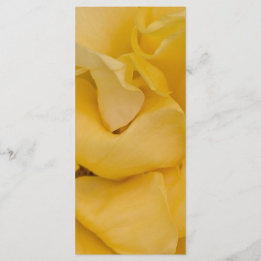 Hochzeitsprogramm für Gelbe Rose Programm (Rückseite)