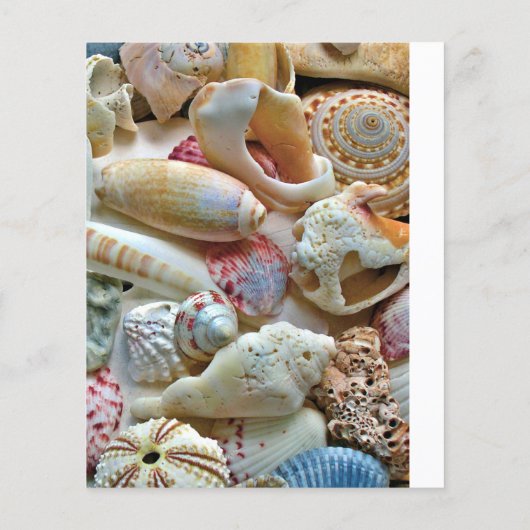 Hochzeitsprogramm für kleine Hochzeiten am Strand (Rückseite)