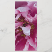 Hochzeitsprogramm für Pink Peony Blume Programm (Rückseite)