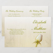 Hochzeitsprogramm für Rosenblüten (Vorne/Hinten)
