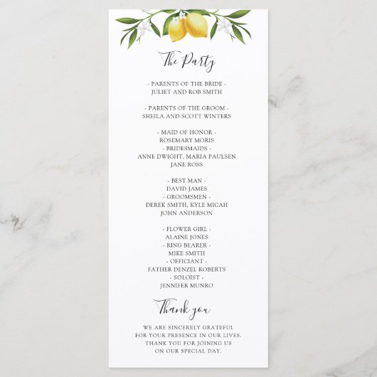 Hochzeitsprogramm für Wasserfarben Programm (Rückseite)