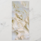 Hochzeitsprogramm für Weißkarnation Programm (Rückseite)