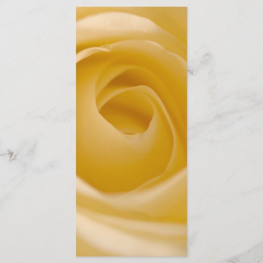 Hochzeitsprogramm für Weißrosen Programm (Rückseite)