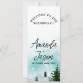 Hochzeitsprogramm für Winterschneeflocken Eisfrost Einladung (Vorderseite)