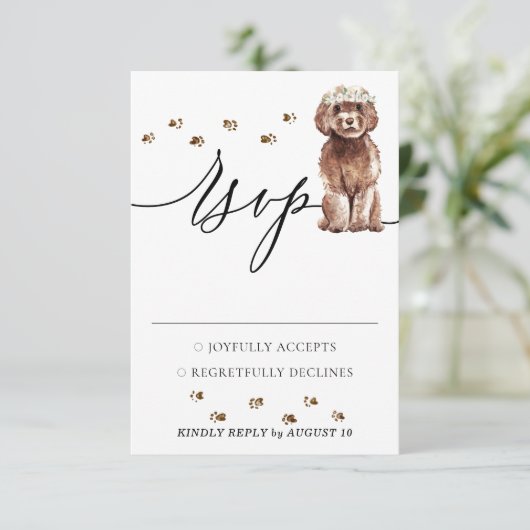 Hochzeitsreaktion Brown Cavapoo Dog RSVP Karte (Stehend Vorderseite)