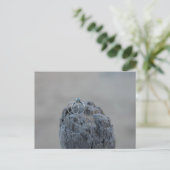 Hochzeitsringe am Strand Postkarte (Stehend Vorderseite)