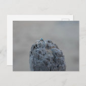 Hochzeitsringe am Strand Postkarte (Vorne/Hinten)