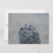 Hochzeitsringe am Strand