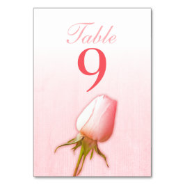 Hochzeitsrosa Single Rose Knospen Tischnummern
