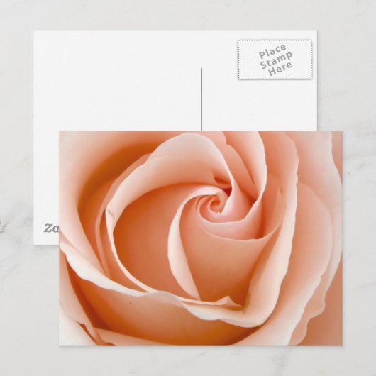 Hochzeitsstiftung Postkarte (Vorne/Hinten)