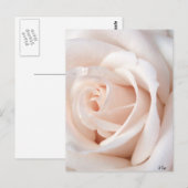 Hochzeitsstiftung Postkarte (Vorne/Hinten)