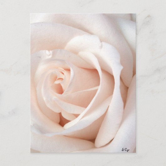 Hochzeitsstiftung Postkarte (Vorderseite)