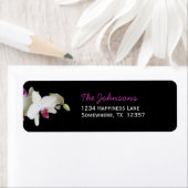 Hochzeitsstipendiaten — Orchid (Insitu)