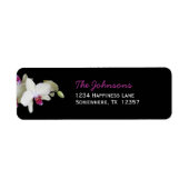 Hochzeitsstipendiaten — Orchid (Vorne)