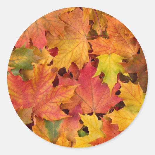 Hochzeitsstipps Herbstlaub Herbstfarben Orange Red Runder Aufkleber (Vorderseite)