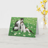 Hochzeitstag Cat Card Fantastisch Niedlich Karte (Gelbe Blume)