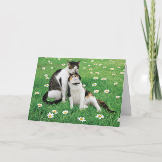 Hochzeitstag Cat Card Fantastisch Niedlich Karte