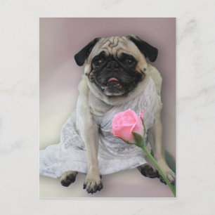 Hochzeitstag Mops Postkarte