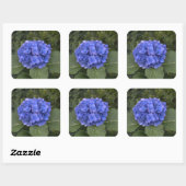 Hochzeitsticker Blue Hydrangea-Blume Quadratischer Aufkleber (Blatt)