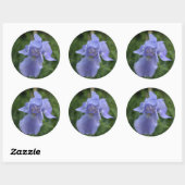 Hochzeitsticker Hübsch Blue Iris Blume Runder Aufkleber (Blatt)