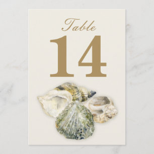 Hochzeitstischnummern aus Meeresmuscheln Einladung