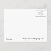 Hochzeitstorte Save the Date Ankündigungspostkarte (Rückseite)