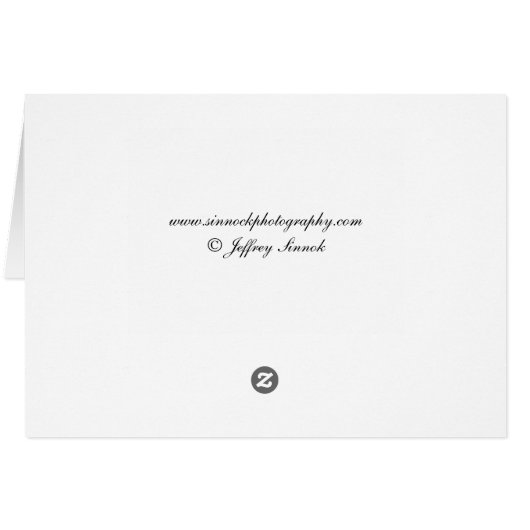 Hochzeitszertifikat ab 1877 (Rückseite Horizontal)