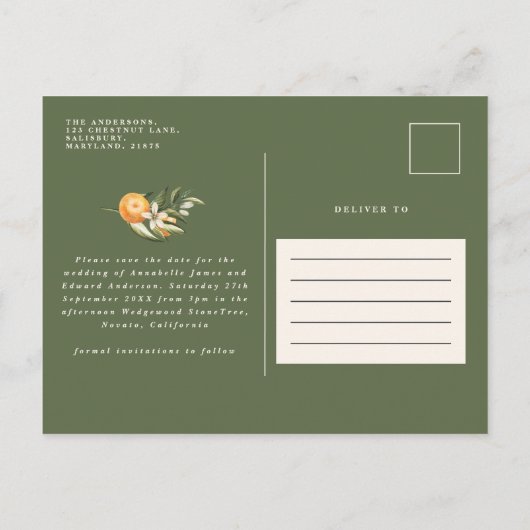 Hochzeitszitrus botanischer Moderne Ankündigungspostkarte (Rückseite)