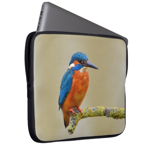 Hockender Eisvogel Laptopschutzhülle (Vorne Rechts)