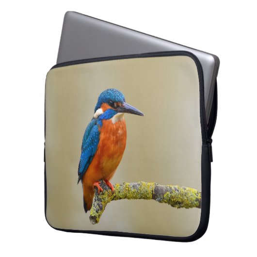 Hockender Eisvogel Laptopschutzhülle (Vorderseite Links)