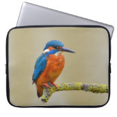 Hockender Eisvogel Laptopschutzhülle (Vorderseite)