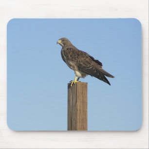 Hockender Raubvogel Mousepad