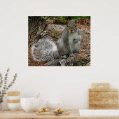 Hockendes Eichhörnchen Poster (Küche)
