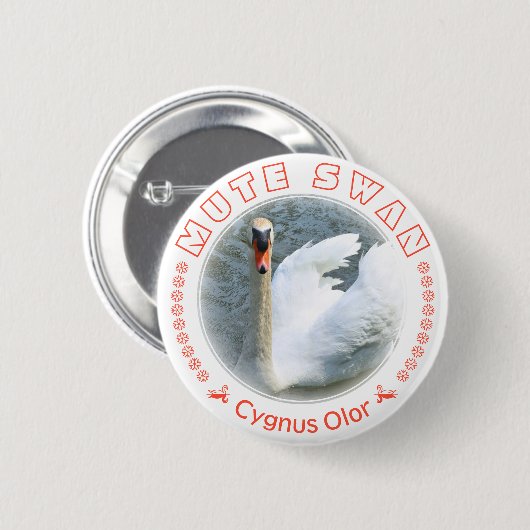 Höckerschwan Button (Vorne & Hinten)