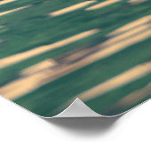 Höckerschwan Poster (Ecke)