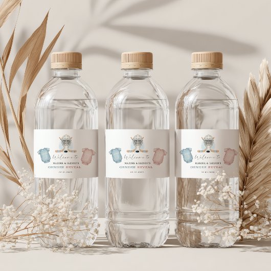 Hockey baby shower, ice hockey gender reveal wasserflaschenetikett