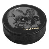 Hockey Puck (3/4)