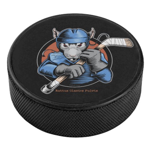 Hockeyrat Eishockey Puck (3/4)