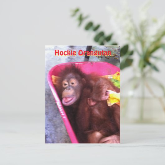 Hockie Orangutan - ein Mädchen mit besonderen Bedü Postkarte (Stehend Vorderseite)