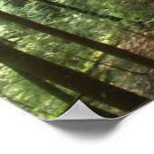 Hocking Hills Cliff Poster (Ecke)