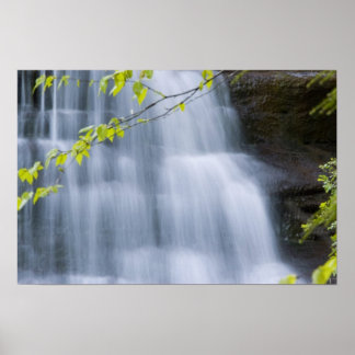 Hocking Hills Ohio Print Poster