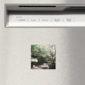 Hocking Hills Old man's Höhlenmagnet Magnet (In Situ (Geschirrspüler))