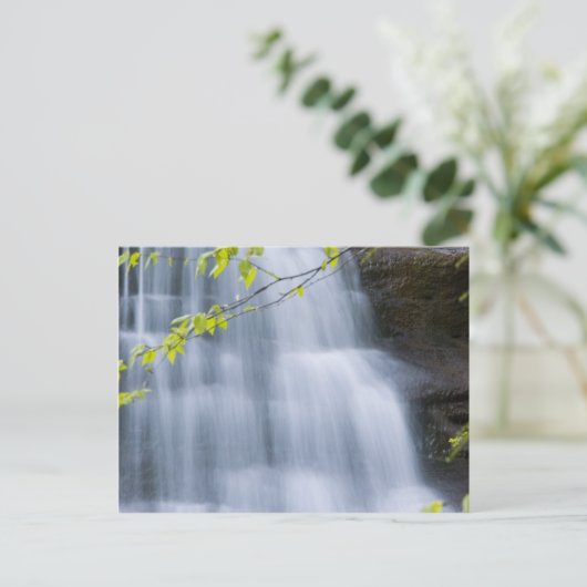 Hocking Hills Wasserfall Postkarte (Stehend Vorderseite)