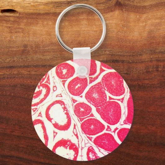 Hoden Zellen unter dem Mikroskop Schlüsselanhänger (Vorderseite)