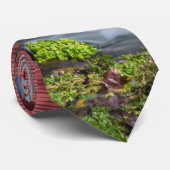 Hodgson Mill Landscape Neck Tie Krawatte (Gerollt)