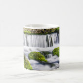 Hodgson Spring Falls Coffee Tasse (Mittel)