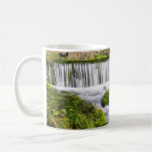 Hodgson Spring Falls Coffee Tasse (Links)