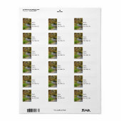 Hodgson Spring Flow Address Label Adressaufkleber (Vorne)