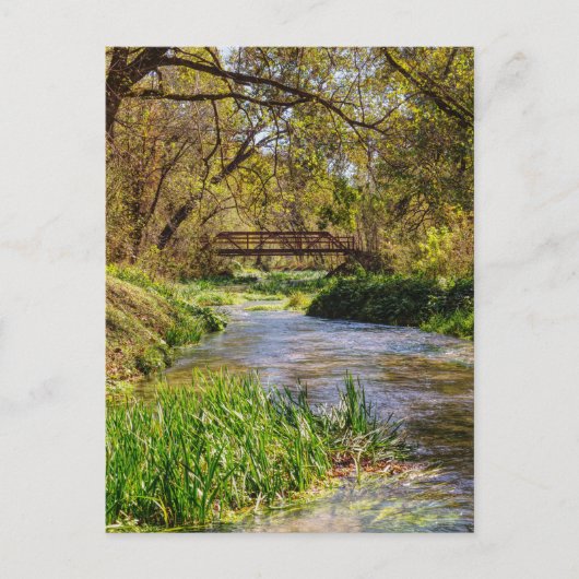 Hodgson Spring Flow Postcard Postkarte (Vorderseite)