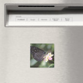 Hodokubo, Hino, Tokio, Japan 5 Magnet (In Situ (Geschirrspüler))